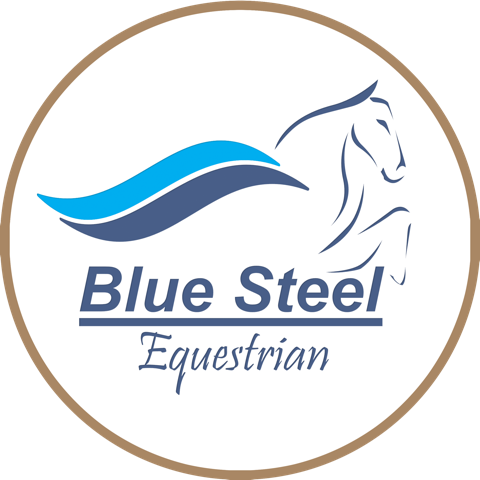 Horse Fly Mask
